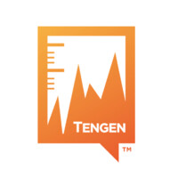 Tengen logo - Similar company to Related Actions Consulting
