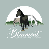 Bluemont Sanctuary logo - Similar company to Northeastern Seds