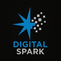 Digital Spark logo - Similar company to Devinvicta