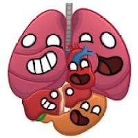 Human Buddy logo - Similar company to Now Creatives