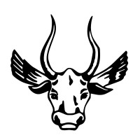 Nellmapius logo - Similar company to Solvability (Pty) Ltd.