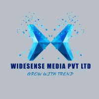 Widesense Media Private Limited logo - Similar company to Sall Creatives