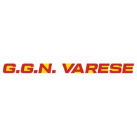 G.G.N. VARESE SNC logo - Similar company to Faro Service Srl