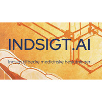 Indsigt.ai logo - Similar company to Aeu.Dk