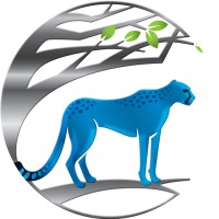 Massively Parallel Technologies, Inc.