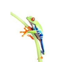 Reprographics Inc logo - Similar company to Leapin' Lizard Labels