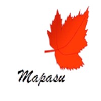 Mapasu Consulting Services logo - Similar company to Reearth