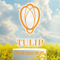 Tulip Hotel Group logo - Similar company to Tulip Group - Investment Sales And Lettings In Hull