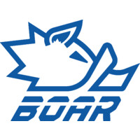 Boar Sports logo - Similar company to Boar Revolution