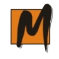 MEGATRON Professional IT-Services GmbH logo - Similar company to Valuevault Se