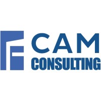 Cam Consulting S.r.l. logo - Similar company to Siinfo