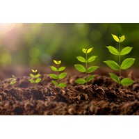 Politiques Publiques en Afrique Subsaharienne logo - Similar company to Generia.Ai