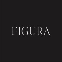 Figura Design Inc. logo - Similar company to Daakor