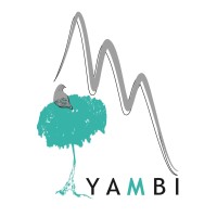 YAMBI logo - Similar company to Babeth