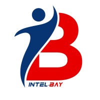 Intel-bay logo - Similar company to Robust Business Services