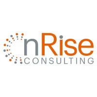 nRise Consulting logo - Similar company to Flexfleet Zrt.