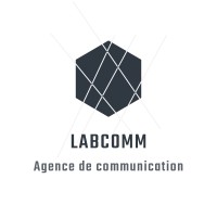 LabComm logo - Similar company to Labcom