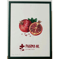 Pharma-Nil logo - Similar company to Purecbd