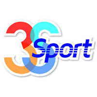 3SSport logo - Similar company to Mdsports