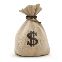 The Money Pouch | Expat Investing logo - Similar company to Project Pressure