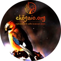 EKŌGAIO logo - Similar company to Urze - Associação Florestal Da Encosta Da Serra Da Estrela