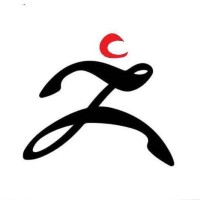 Zettawise Consulting Pvt. Ltd logo - Similar company to Zeron