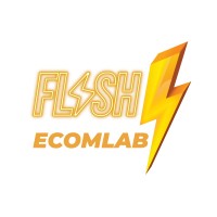 FLASH ECOM LAB COMPANY LIMITED logo - Similar company to Skill Direct Consultancy Company Ltd