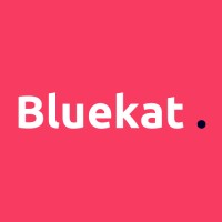 Bluekat Digital logo - Similar company to Solution Logique Informatique