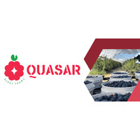 Quasar Berry Farms logo - Similar company to Supreme Berry Farms