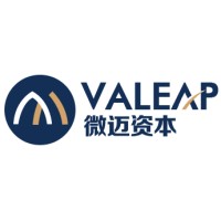 Valeap Capital Limited logo - Similar company to Bmv Medtech Group Co., Ltd