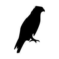 Webfalken - WordPress Wartung, Administration, Program­­mierung logo - Similar company to Raumzeit Gmbh
