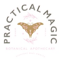 Practical Magic logo - Similar company to Nash Consulting