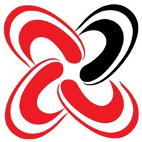 Shenzhen Chengxing Packing & Material Co.,Ltd. logo - Similar company to Suggestied