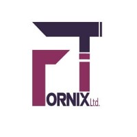 Fornix IT logo - Similar company to Fornix