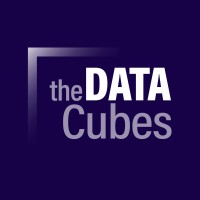 TheDataCubes logo - Similar company to Jg Creative Lab