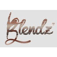 Blendz Apparel logo - Similar company to Park 'N Fly