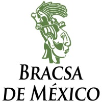 Bracsa de México S.A de C.V logo - Similar company to Prolade, Sapi De Cv