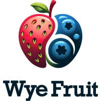 Wye Fruit logo - Similar company to Bevisol Ltd