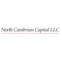 North Cambrian Capital LLC logo - Similar company to S N Digital Solns Pvt Ltd