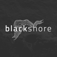 Blackshore LLC logo - Similar company to Blackshore