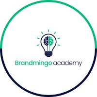 Brandmingo Academy logo - Similar company to Web3Task.Io