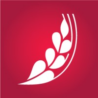 ROSE BLANCHE Group logo - Similar company to Bewise