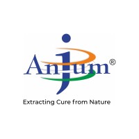 Anjum Extraction Pvt. Ltd. logo - Similar company to Lircle Design