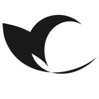 arixstudio logo - Similar company to Digitality Australia