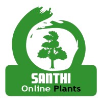 Santhi Plant Biotech & Clonal Nursery Pvt. Ltd. logo - Similar company to Plantzone