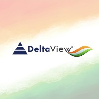 DeltaView Technologies logo - Similar company to Delta Web Services