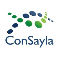 CONSAYLA TEX ME L.L.C. logo - Similar company to Mana Immigration Me