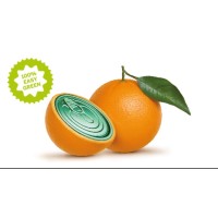 EASYTECH PACKAGING S.P.A. logo - Similar company to Sms Engineering Srl
