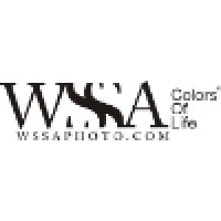 WSSA Co. logo - Similar company to Vivid Media