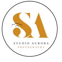 Studio Aurora logo - Similar company to Core X Plug